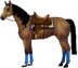 HorseMaker: Design a horse