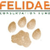 Clouded Leopard | Felidae Cons