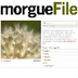 morgueFile free photos