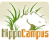 HippoCampus - Homework Help