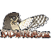 Virtual Owl Pellet