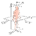 Plano anatómico - Wikipedia, l