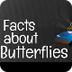 Facts about Butterflies 