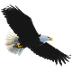 орел