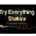 Shakira - Try Everything (Kara