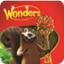 Wonders Picture Login
