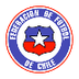 Selección Chilena-Selección Ch