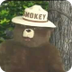 Smokey's Lesson on Fire Safety