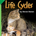 Life Cycles