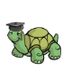 Turtle Academy