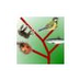 PHYLOGENE