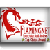 Flaming Net