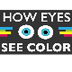 How Do Your Eyes See Color? - 