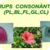 JClic: Grups+consonàntics+PL,+