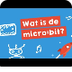 Wat is de Microbit?