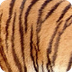 JClic: Els tigres