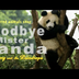 'Goodbye Mister Panda' | Johnn