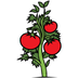 Plants for Kids