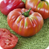German Queen Tomato