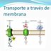 Transporte por membrana