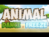 Animal Dance and Freeze | Fun