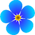 Flower Frenzy