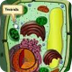 Partes de la celula vegetal - 