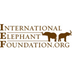 Asian Elephants | Internationa