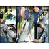 Glass Repair Auckland