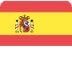 Online Practice- Spanish
