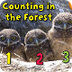 Counting in the Forest