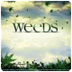 Weeds Season 7 Trailer