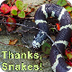 Thanks, Snakes