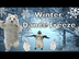 Winter Dance Freeze - Brain Br