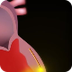 Sistema de Conducción Cardíaco