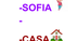 SOFIA caso 8 act 2 - Google Do