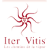 Iter Vitis