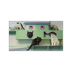 Kill/No Kill2
