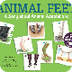 Animal Feet 
