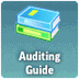 Auditing Guide