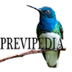 Previpedia @Previpedia Twitter