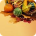 Fall Window Sun Catchers