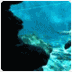 Cave Diving