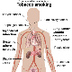 effects of tobacco