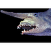 Goblin Shark Animal Profile