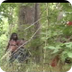 Daniel Boone Part 2 - YouTube