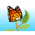 Sheppard Software's Butterfly 