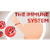 The Immune System Explained