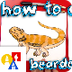 How To Draw A Bearded Dragon -