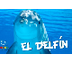 El Delfín | Videos Educativos 